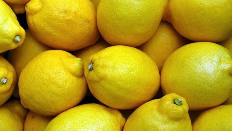 Üreticide 2,50 TL olan limon, markette 18,36 TL’ye satıldı